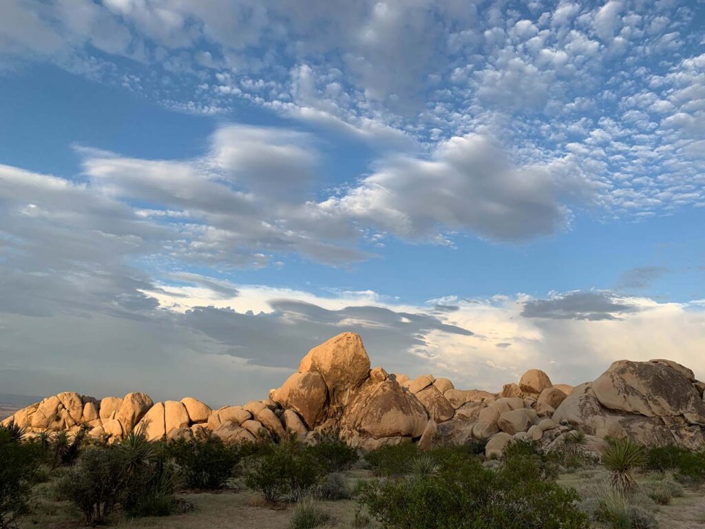 Joshua Tree National Park